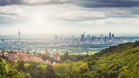Das Bild ist eine Landschaftsaufnahme, an deren Horizont man die Hochhäuser der Frankfurter Skyline sieht